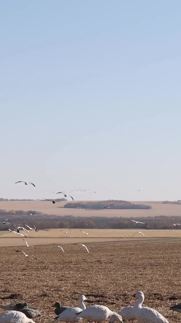 Video post from northernskiesoutfitters.