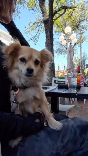 Video post from visittucson.