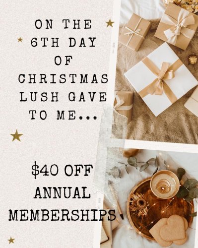 Photo post from lushaestheticsky.