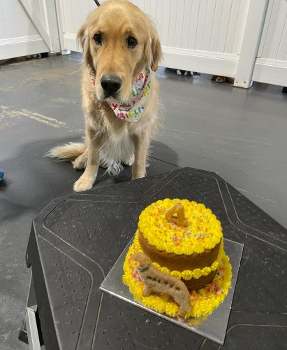 Carousel post from k9playtimedoggydaycare.