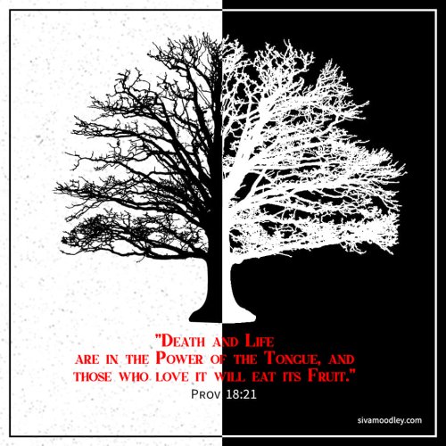 Carousel post from drsivamm.