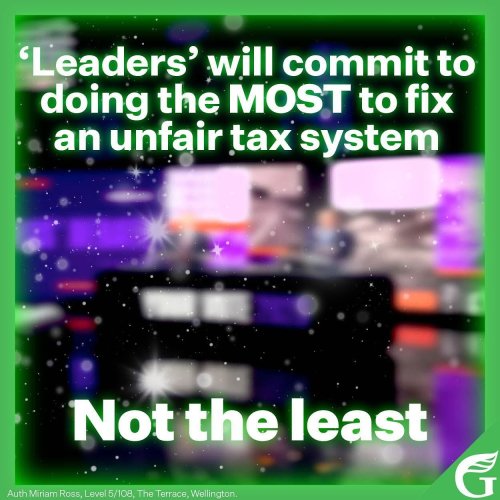 Carousel post from nzgreenparty.