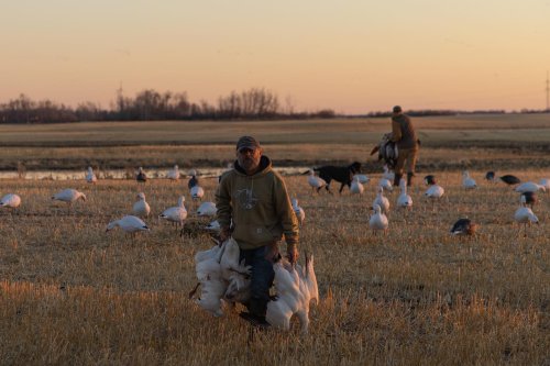 Photo post from northernskiesoutfitters.