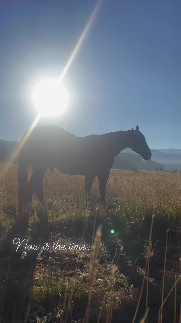 Video post from __amber_lydic__.