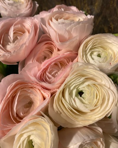 Photo post from blomsterborsen.