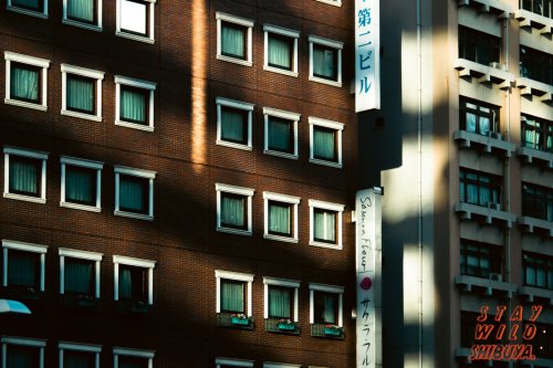 Photo post from play_shibuya.