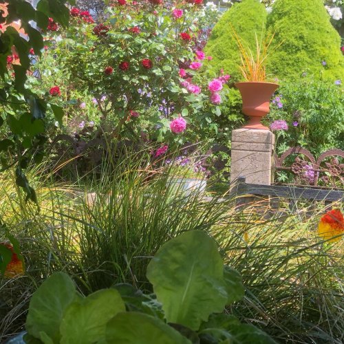 Photo post from gardenhousebrighton.