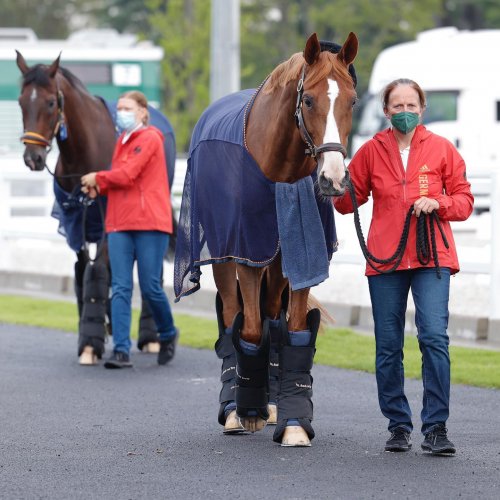 Carousel post from fei_global.