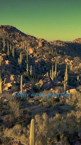 Video post from visittucson.