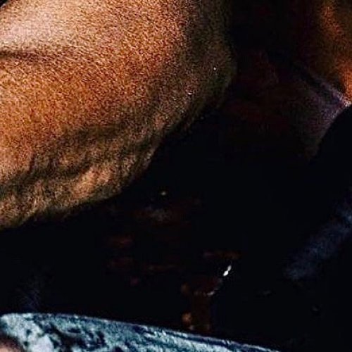 Photo post from lecheminduroi.