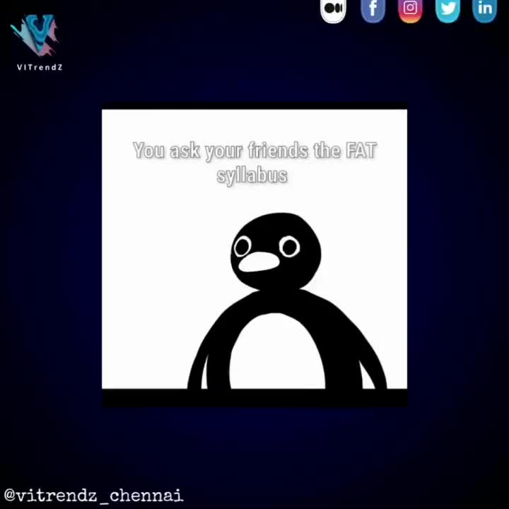 Video post from vitrendz_chennai.