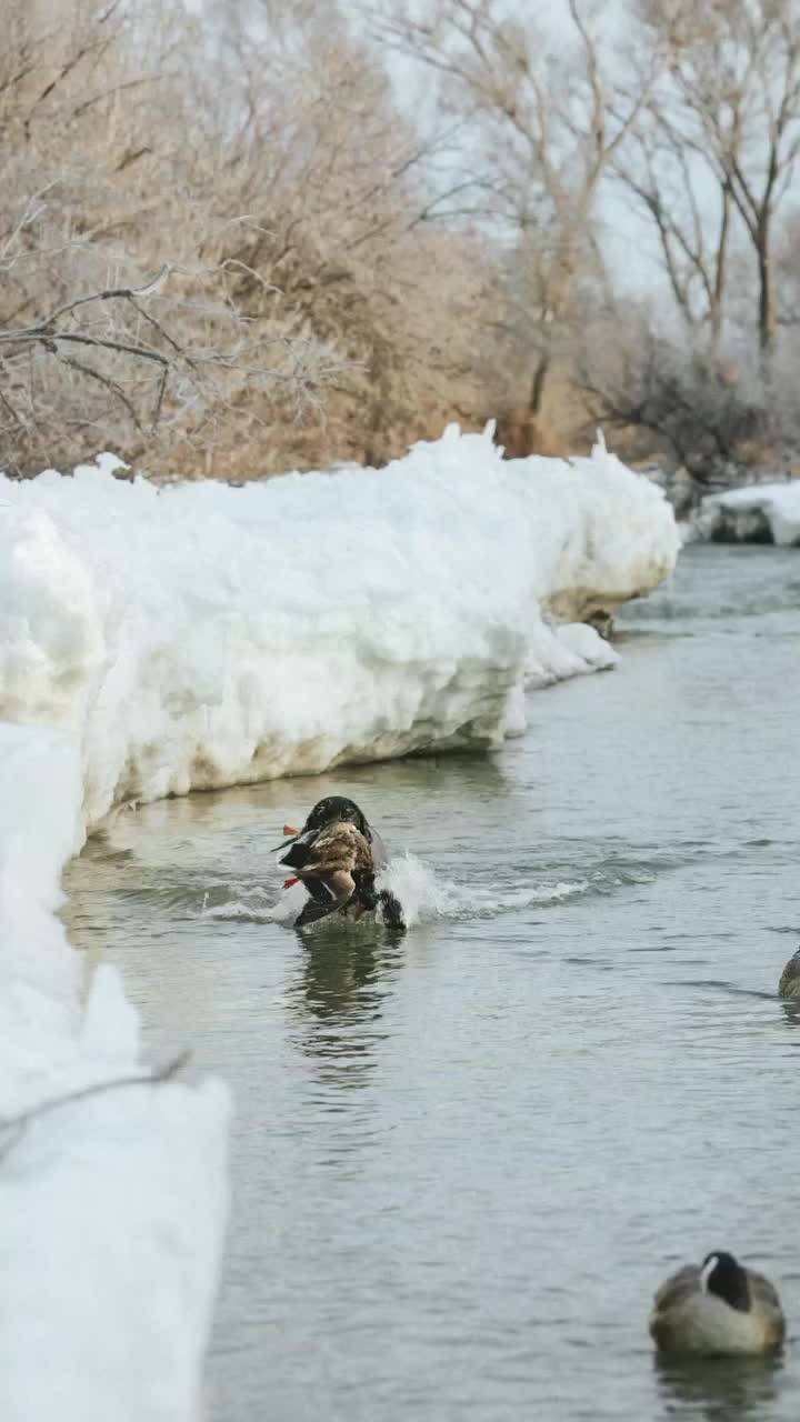 Video post from northernskiesoutfitters.