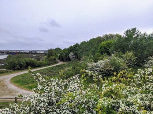 Photo post from kasarstays.