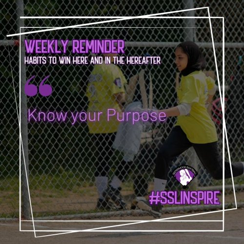 Carousel post from sisterhoodsoftball.