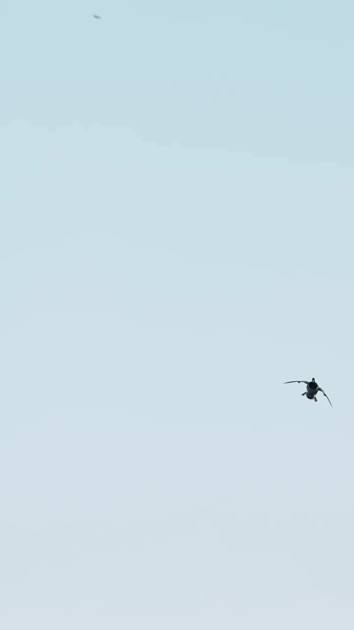 Video post from northernskiesoutfitters.