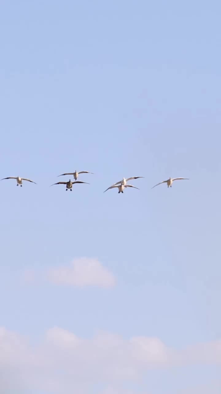 Video post from northernskiesoutfitters.