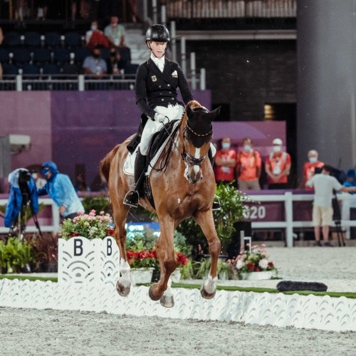 Photo post from fei_global.