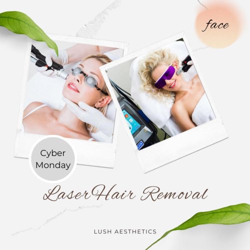 Photo post from lushaestheticsky.