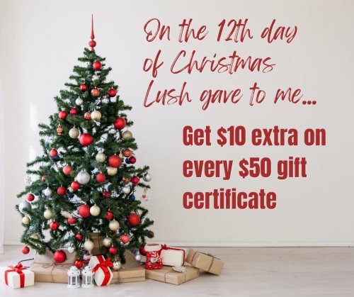 Photo post from lushaestheticsky.