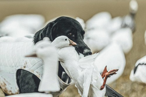 Photo post from northernskiesoutfitters.