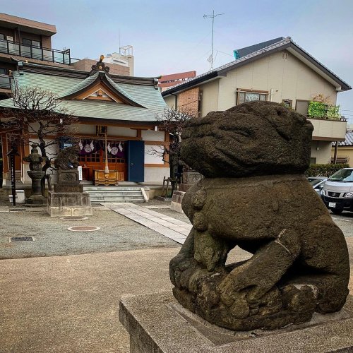 Photo post from jmj_jp.