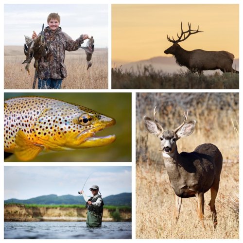 Photo post from nwfoutdoors.