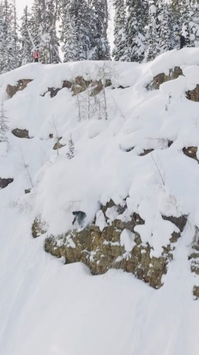 Video post from gnusnowboards.