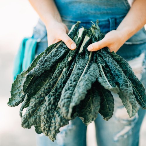 Photo post from farmbox_arizona.