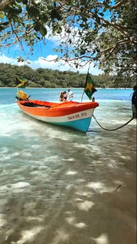 Video post from thingstodoinjamaica.