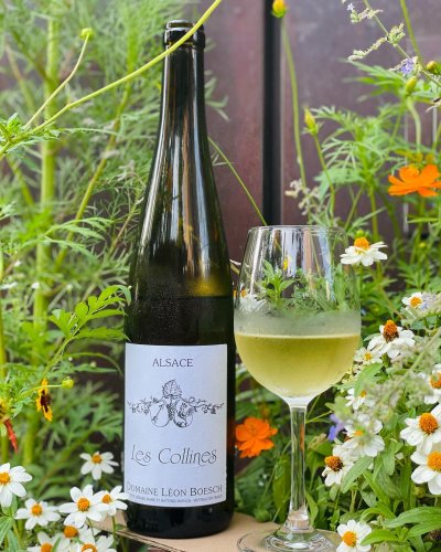 Photo post from dandywineshop.