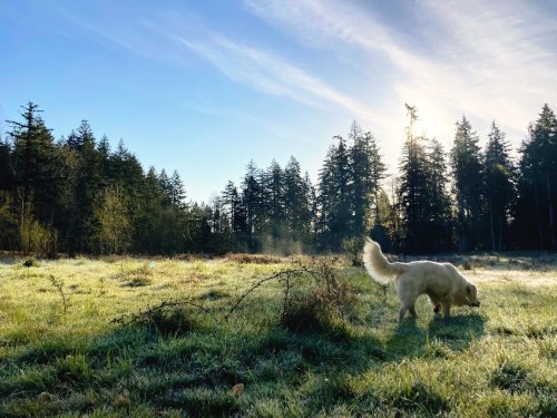 Photo post from hungryhollowfarm.