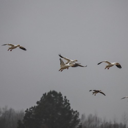 Photo post from northernskiesoutfitters.