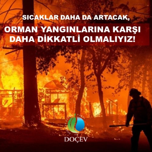 Photo post from dogavecevrevakfi.