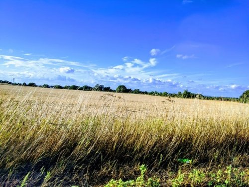 Photo post from kasarstays.