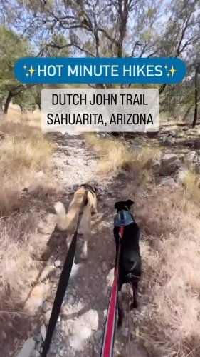 Video post from visittucson.