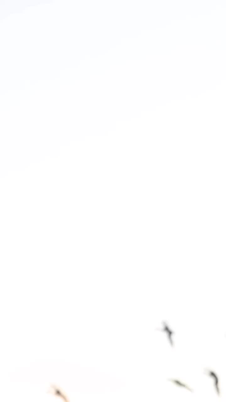 Video post from northernskiesoutfitters.