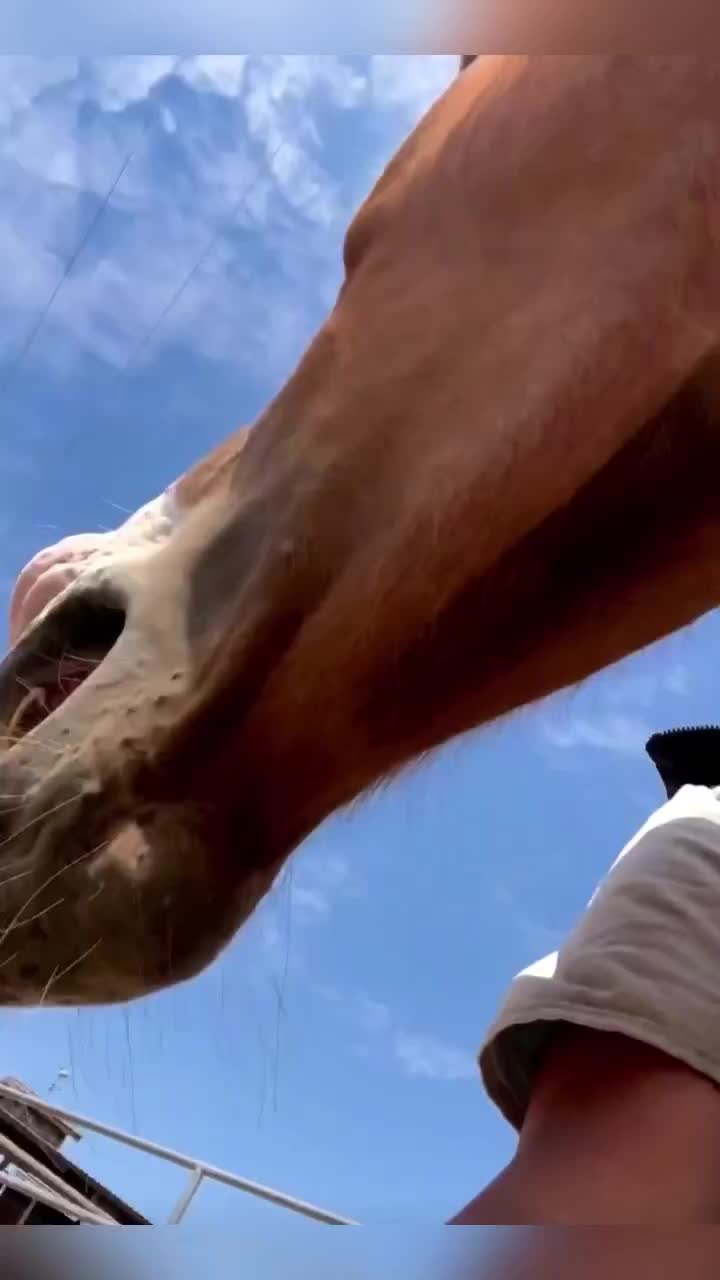 Video post from __amber_lydic__.