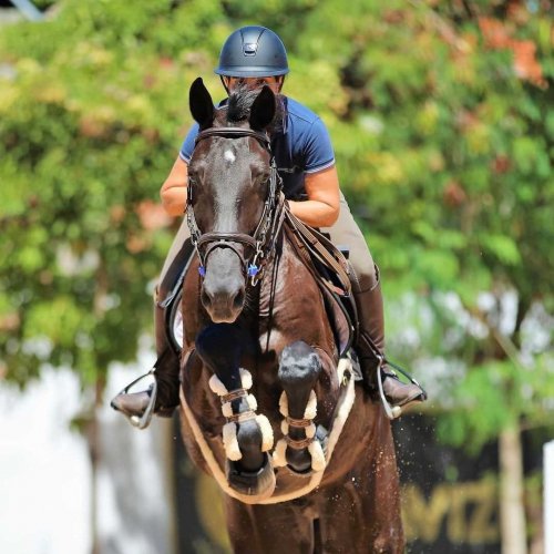 Carousel post from fei_global.