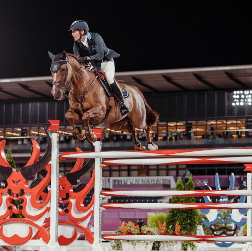 Carousel post from fei_global.