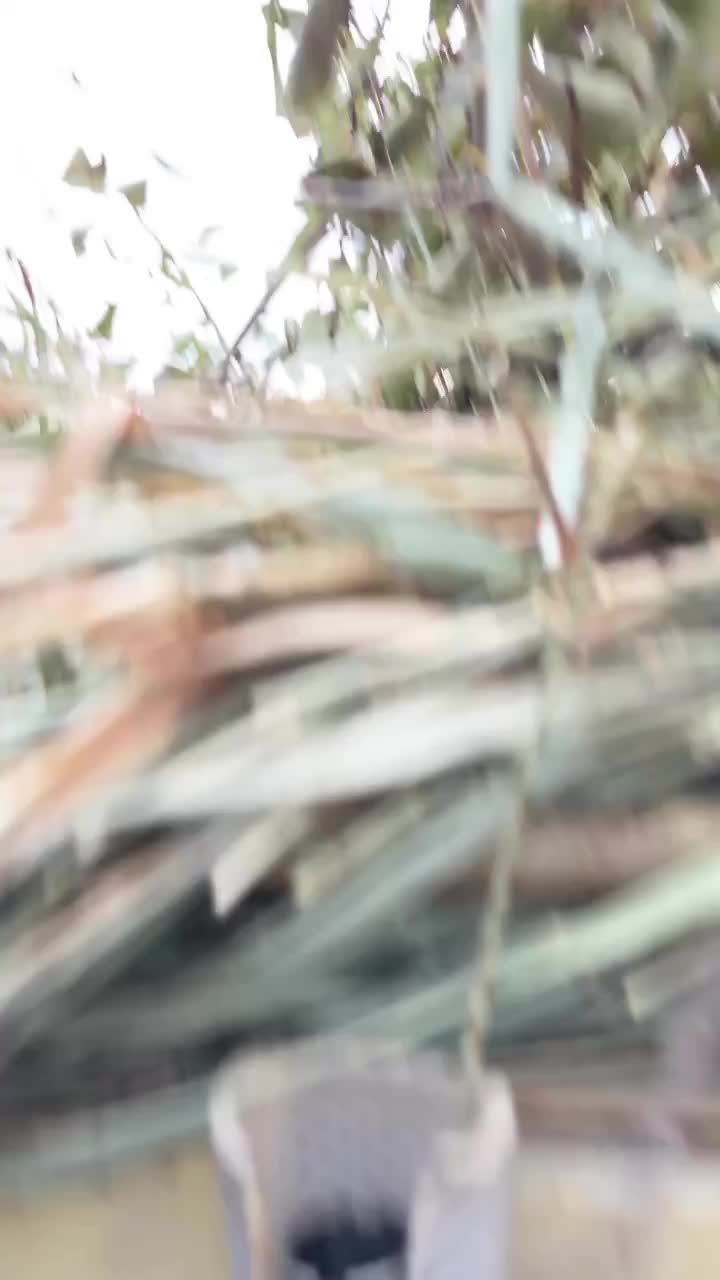 Video post from northernskiesoutfitters.