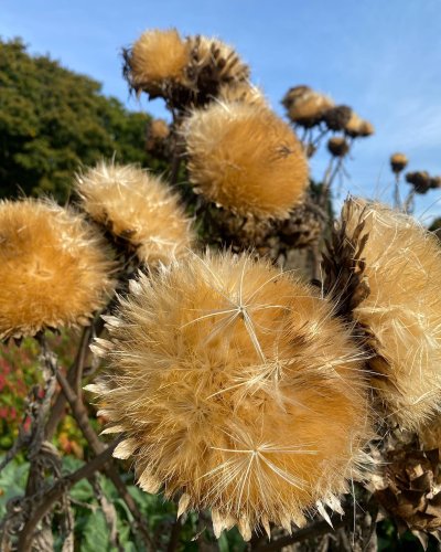 Photo post from sussexprairies.