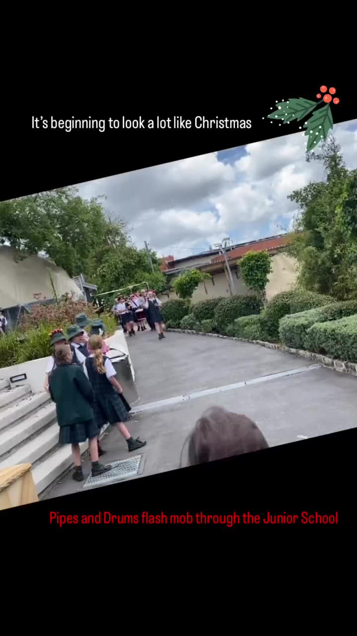 Video post from plcsydneyofficial.