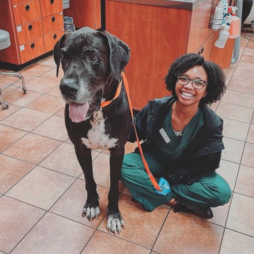 How Much Are Puppy Shots At Banfield