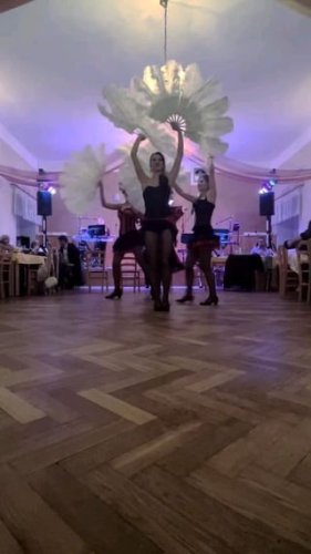 Video post from siderea_dance.