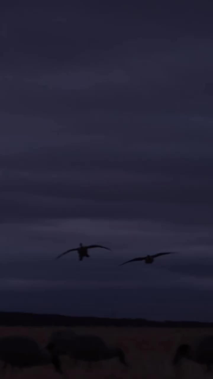 Video post from northernskiesoutfitters.