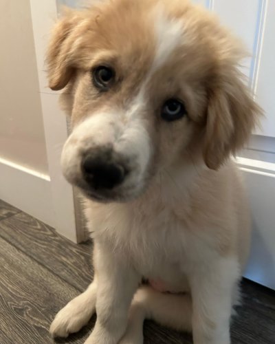 Photo post from annelizabethjewelry.