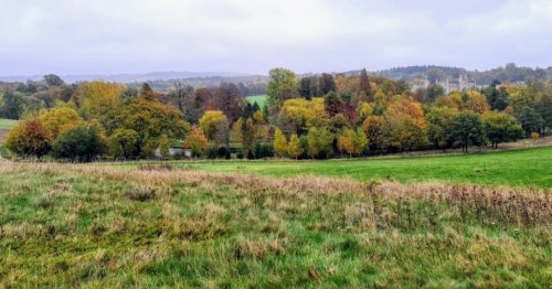 Photo post from kasarstays.