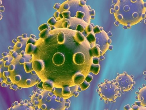 Photo post from kasarstays.