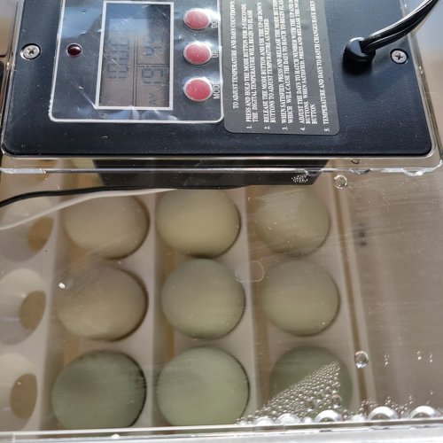 Photo post from reddogguideservice.