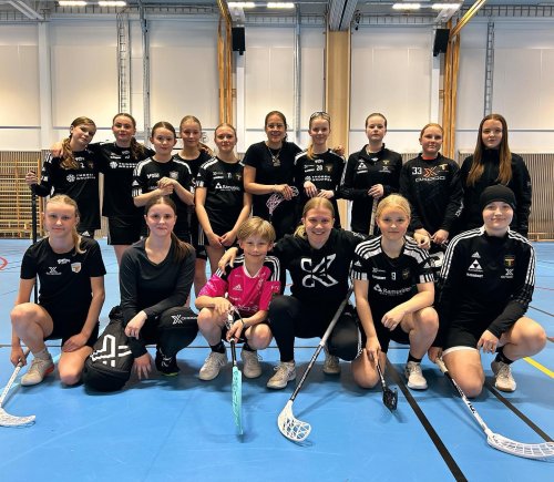 Carousel post from kauppitwins.